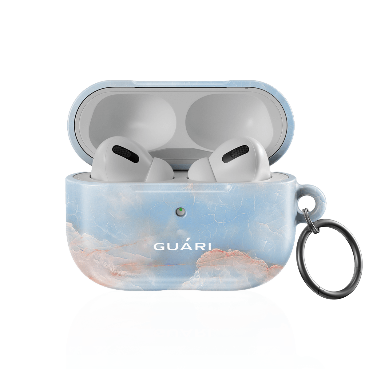 FROSTED FLAIR AIRPODS CASE