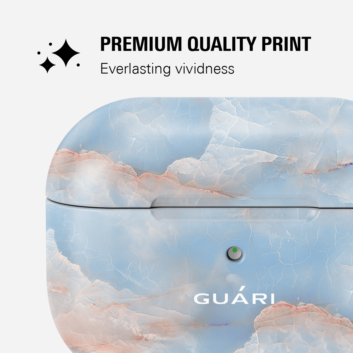 FROSTED FLAIR AIRPODS 1/2 CASE