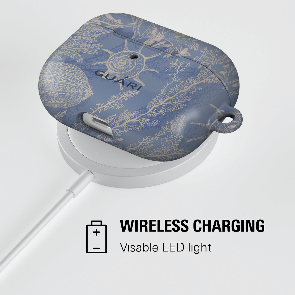 SALTY OCEAN AIRPODS CASE